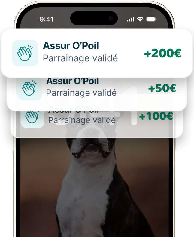 Application mobile Assur O'Poil