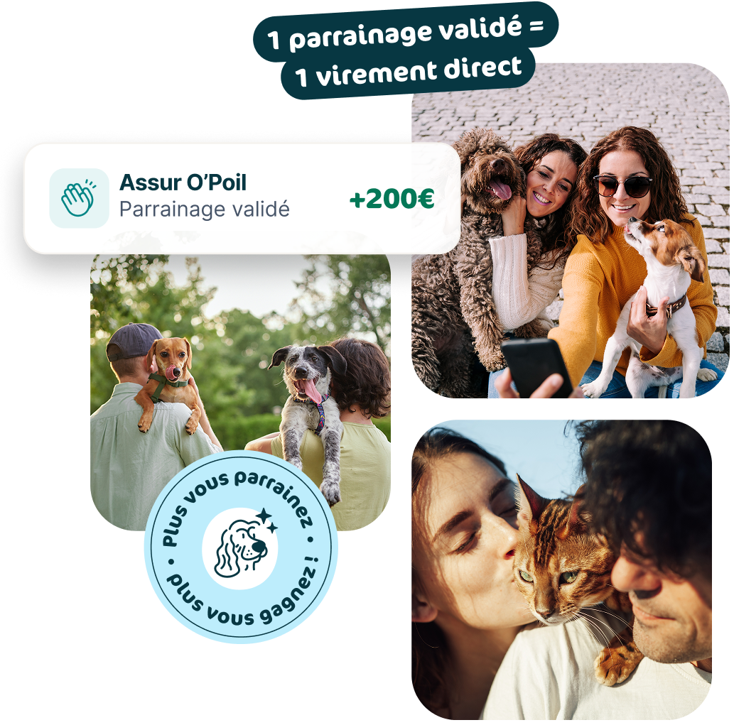 Offre parrainage Assur'O Poil