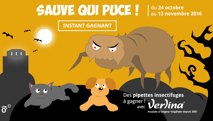 jeu concours sauve qui puce verlina assuropoil