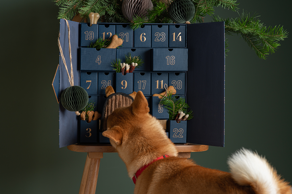 choisir un calendrier de l'avent pour son chien