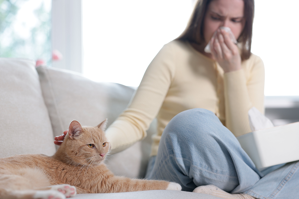 je suis allergique aux chats