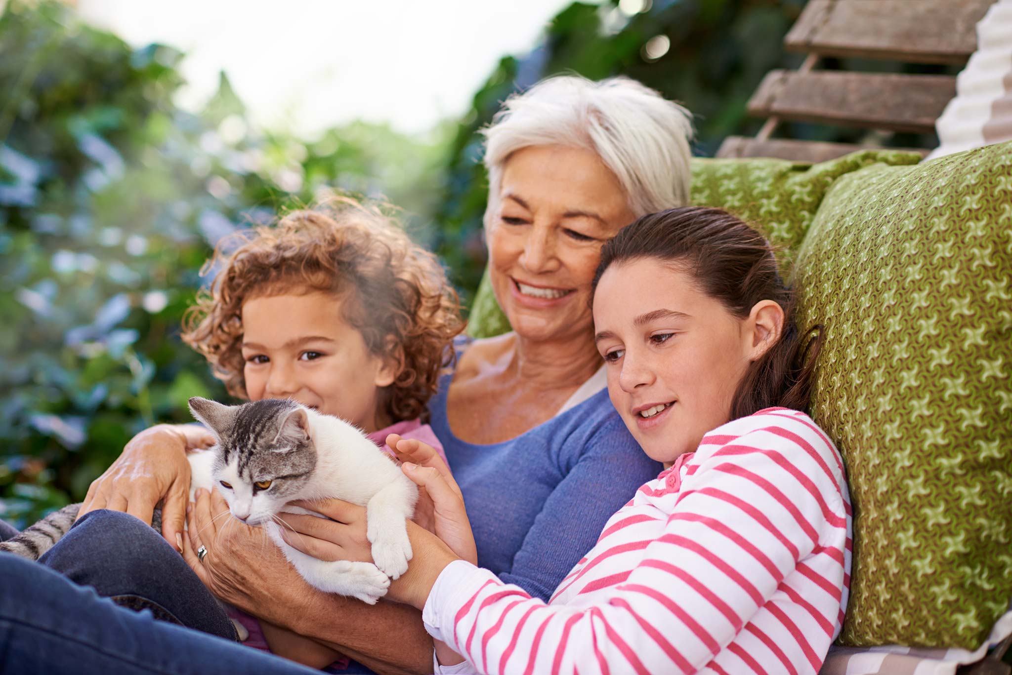 vacances avec son chat la check-list